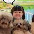 Feeding Cute Dogs Play With Cute Animals Heli Guk Guk