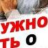 ВСЕ ЧТО НУЖНО ЗНАТЬ О МЕДИТАЦИИ Полное практическое руководство о том как правильно медитировать