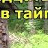Двадцать дней в тайге