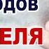 Что происходит и что нужно ребенку на 4 неделе жизни Ребенок на четвертой неделе после родов