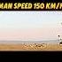 Cheetah Vs Human Trending Viralvideo Cheetah Animals Gazelle Youtubeshorts Shorts Wildlife