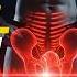 Kegel Exercises For Pelvic Floor Rock Hard Erections Combat Prostatitis Boost Testosterone