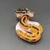 When They Know Their Pretty Ballpythons OrangeDream Odium Pieds Cuteanimals Adorbs