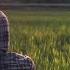 Arian Opu The Most Beautiful Nasheed Humne Ankhoon Se