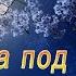 Расцвела под окошком белоснежная вишня Игра на баяне Любимые мелодии