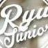 Kevin McLeod Monkeys Spinning Monkeys Ryu Junior Remix