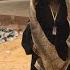 MAAME GRACE S TAKE CAN A VOODOO SPELL AFFECT THE INNOCENT