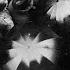 Rain Regen 1929 Directed By Joris Ivens