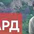 BARGARD Зиевиддини Нурзод СИРК 2025