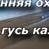 охота на гусей ГУСЬ КАЗАРКА Goose Hunting