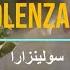 Solenzara Remix Lyrics سولينزارا