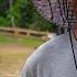 It Came At The WORST Time Yes MORE Problems And Delays For Our Cabin Homestead Build Siding Prep