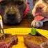 Medalhão De Alcatra Com Mirtilo Americanbully