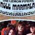 The Lemon Pipers Everything Is You