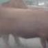 LARTIRIGOYEN Y OROMI 18 11 14 CERTIF WT B