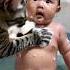 Cat Bathes Baby Cat Catvideos Cute