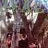 Susie Q Creedence Clearwater Revival 1968 Vinyl