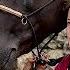 OSTWIND DER GROSSE ORKAN Offizieller Teaser