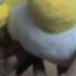 Игрушка повторюшка Angry Birds MP 0737