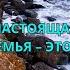 Мудрые Слова о Семье Цитаты которые Каждый Должен Знать Мудрые Мысли цитаты мудрость успех