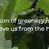 Are You Ready For MonsoonMeinCleaningSuperSoon GEBI Products Ltd