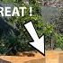 Our Planter Boxes Didn T Work These Ones Will