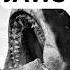John Williams On Writing The JAWS Theme Jaws Shorts