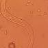 Stool Sample