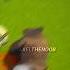 Minecraft Herobrine Edit Shorts Herobrine Youtubeshorts Trending Viralshorts