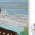 Harmonica Playboi Carti Cancun TABS