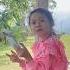 PRANK GANGGUIN AMANDA NYANYI Shorts Alviandmiracle