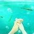NightCore You Can Be King Lyrics