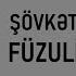 Şövkət Ələkbərova Füzuli Kantatası Lyrics