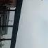 Shikarshignapur Kavhd