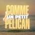 L2B Pélican Lyrics Edit Rapfr Rap