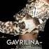 Gavrilina Брекеты Speed Up Songwxp