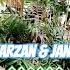 Tarzan Jane Toy Box