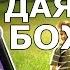 Видеть даяния Божьи Олег Серов