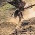 подъем утятник попытки покорить часть 2 Motocross Enduro Hard чечня туризм горы Cross