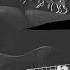 Truth Jungle Guitar Bass