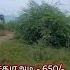 Salem Low Budget Plot For Sale Attiyampatti Land For Sale Short