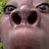 Funny Kid Tenge Tenge