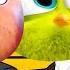 Angry Birds Part 4 Coffin Dance Song COVER