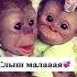 Слышь малая я тебе кохаю