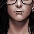 Best Of Skrillex Mix 2017 DUBSTEP TRAP 500K SPECIAL