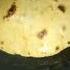Short Chapati Rolls Nafisa With Cooking