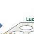 Pyrosequencing