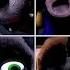 Five Nights At Maggie S 2 All Jumpscares Extras 2023