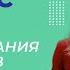 Среда обитания организмов и её факторы Видеоурок 18 Биология 11 класс