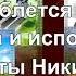 Поле зыблется цветами